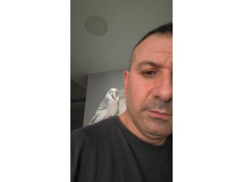 Show jumbo 6 aylık erkek ele kola alışkın 3 kelime muhabbet