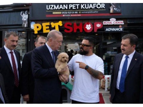 Çağrı çemçem in sizin için seçtiği özel yavrular 