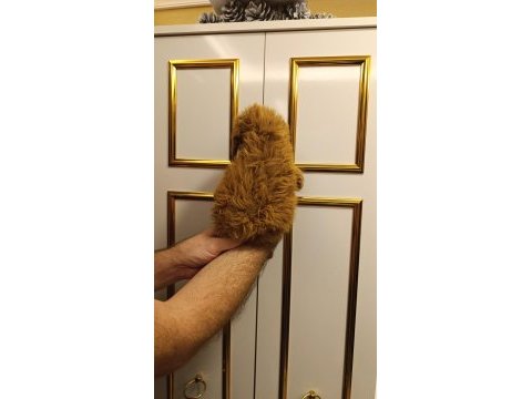 Toy poodle kuzumuz