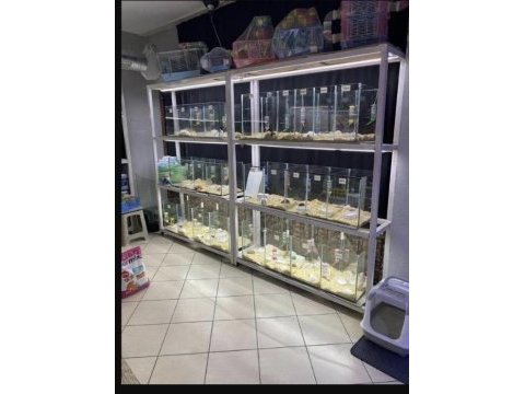 Türkiyede ilk ve tek hamster çiftliği eve teslim