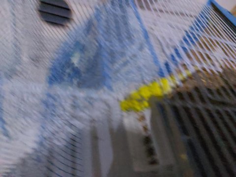 Satılık muhabbet kuşları