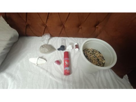 Sultan papağanı yaninda kafes ve 5 kilo yem ve arac gerec