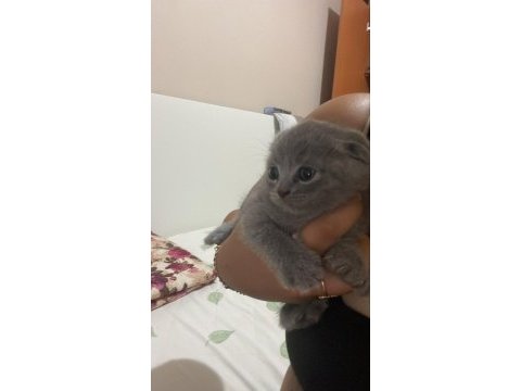 Rezerveye açık yavrularımız