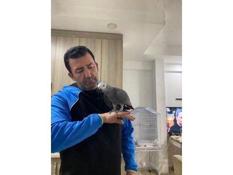 Full evcil jako 2 yaşında 