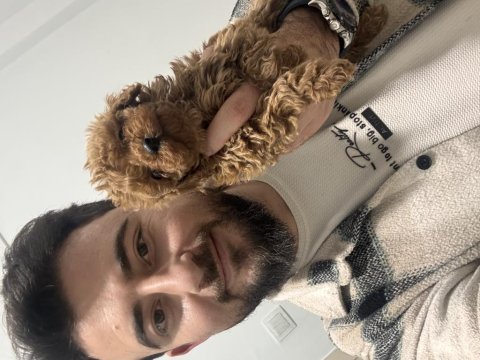 Poodle bebeklerim hazır