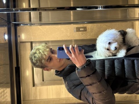 3 aylık terrier çok sevimli eğitimi başladı tuvalet