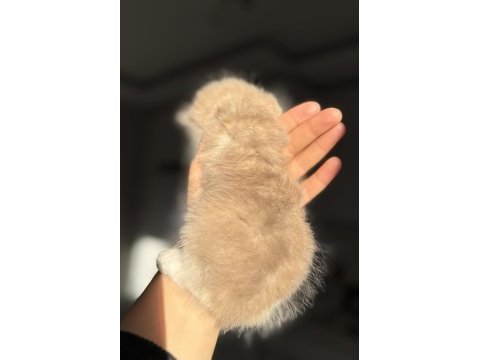 Ay11 ay12 blue golden harika yavruları kediler