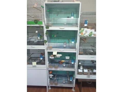 Pvc kafes