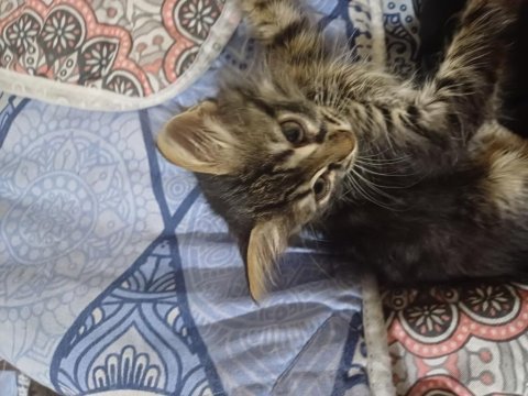 3 aylık kendimize ömürlük yuva arıyoruz
