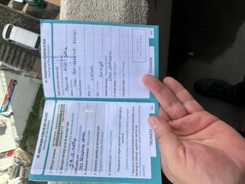 Harika çok güzel bir kedimiz yedi aylık