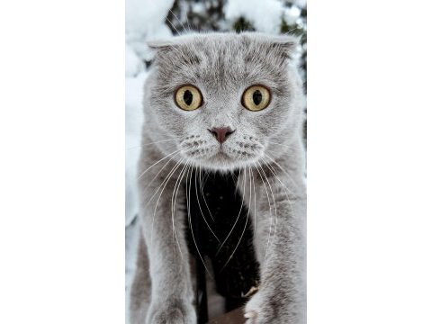 Dünya tatlısı kızımız