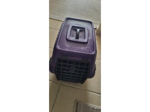 Kedimiz yeni yuvasını arıyor