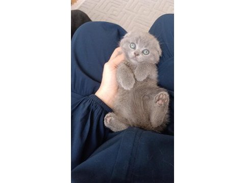 Görünce hayran kalacağınız tatlı mı tatlı yavrumuz!