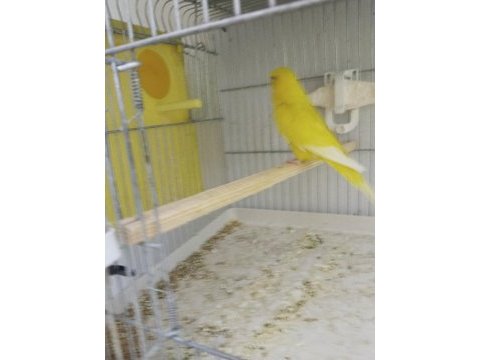 Her tür muhabbet kime ne lazımsa