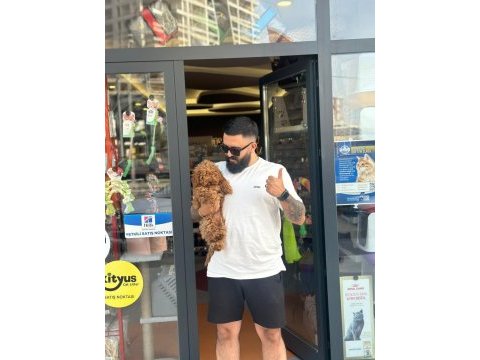 Çağrı çemçem in sizin için seçtiği özel yavrular 