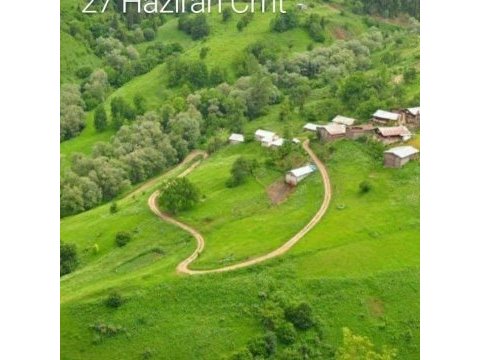 Ele alışkın bir çift cennet papağanı arıyorum