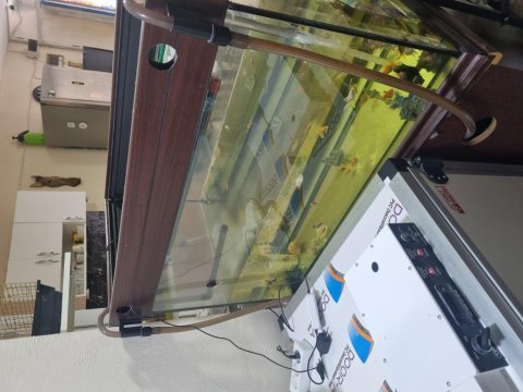 100×50 cm 250 litre tam takım akvaryum