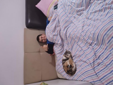 Kedimiz şifa mıza yeni bir yuva arıyoruz