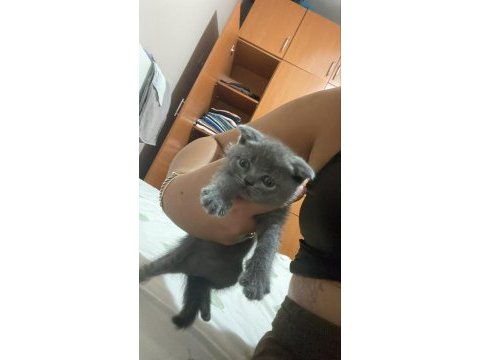 Rezerveye açık yavrularımız