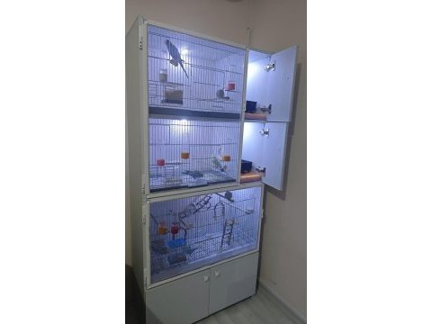 Tertemiz kuş dolabı