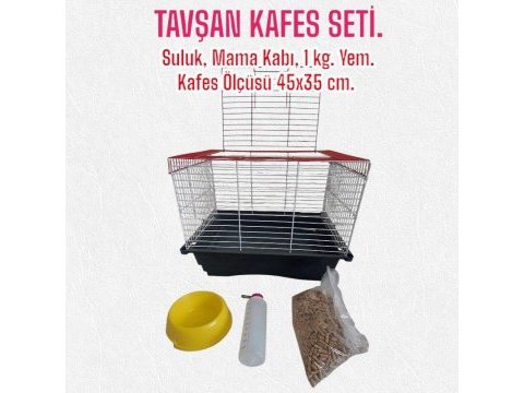 Hollanda lop tavşan yavrularımız