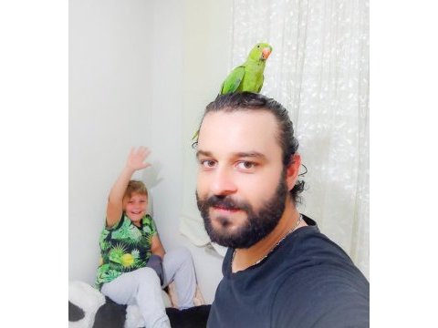 3 aylık yavru pakistan papağanları
