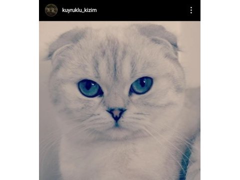Çok sakin ve seveceb 1 kez doğum yaptı