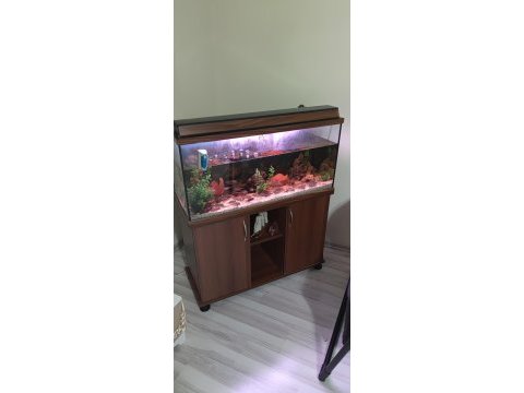 Akvaryum ve balıklar toptan verilecektir