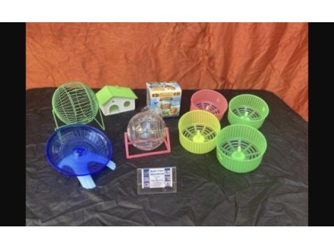 Minik hamster dostunu seç adresine gelsin