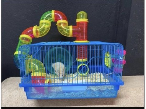 Hamster ve tüm ihtiyaçları (adresine gelsin)
