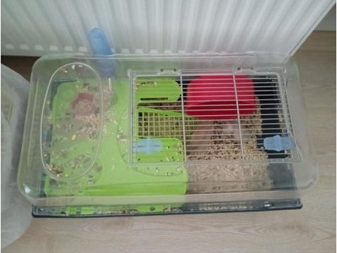 Hamster koloni kafesiyle birlikte
