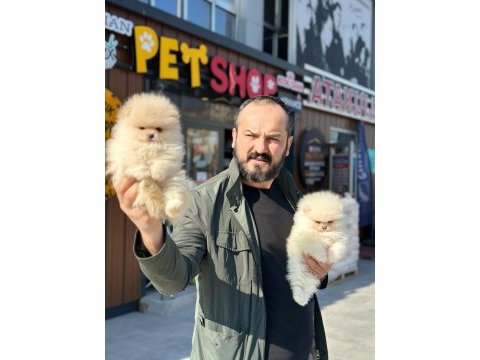 Tarım orman bakanlığı ruhsatı olmayan yerden almayın 