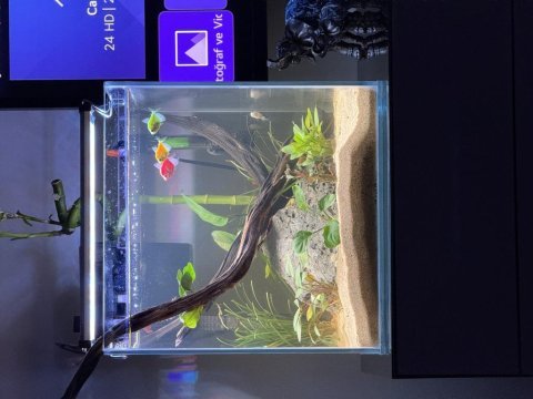 35*35*35 nano akvaryum ultra clear cam özel