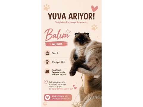 Himan kızımız bir yaşında
