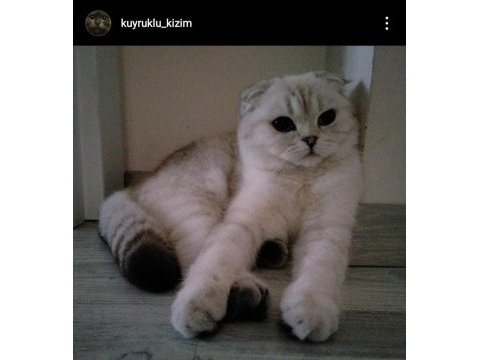 Çok sakin ve seveceb 1 kez doğum yaptı