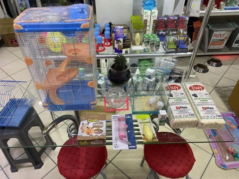 Hamster dair herşey antalya hamster çiftliği (bfa)