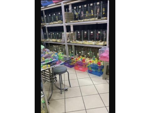 You ask for a hamster well bring it to antalya