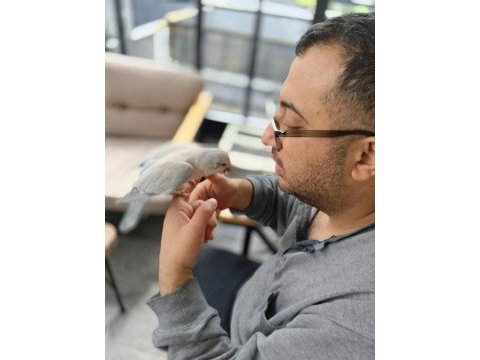 Evcil ele oöza alıskın konusan mutasyon monk