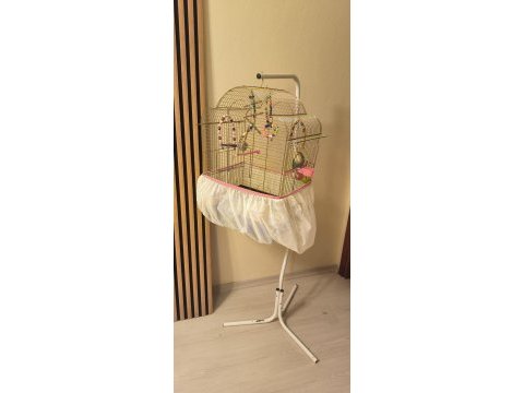 2 yaşında parmağa alışkın uysal kuşumuz