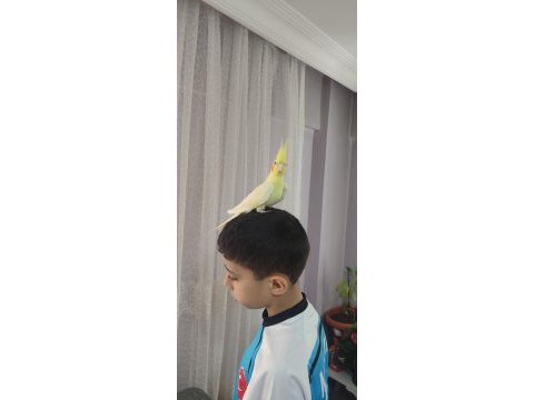 Zamanım olmadığımdan kuşumuzla ilgilenemiyorum