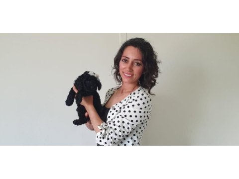 Fci scr li anne babadan black poodle yavrularımız