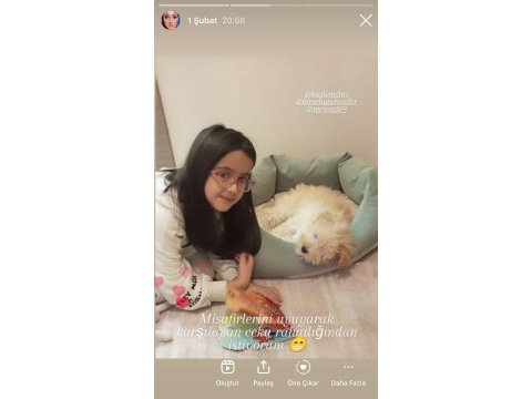 Eğlenceli 5 aylık dişi maltipoo