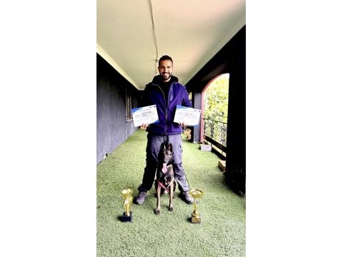 Belçika kurdu (malinois) yavrularımız