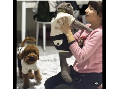 Yakışıklı poodle köpeğimiz karamel için eş adayı arıyoruz