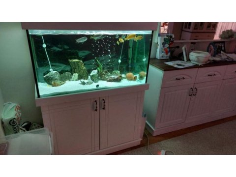 Malzemeleri ile birlikte 100x50x50 mobilyalı akvaryum (mdf)
