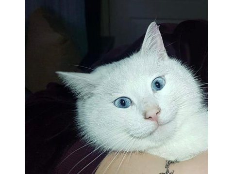 Pamuk için umut olmak istermisin