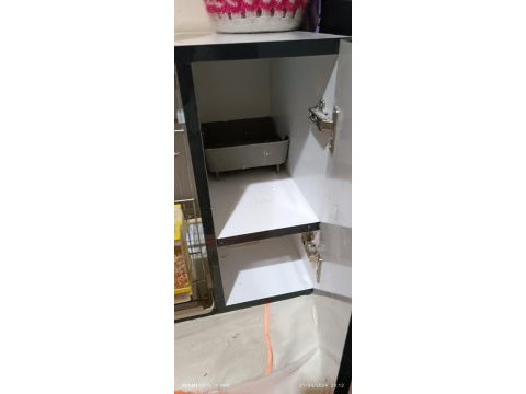 Sultan papağanı 3 adet