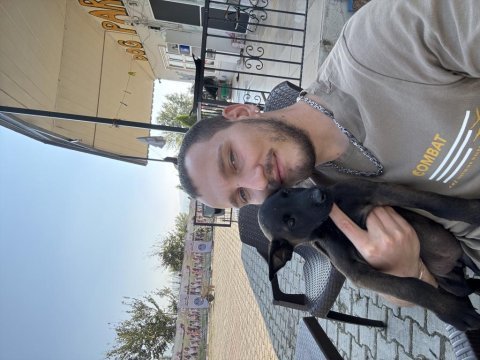 Aradığınız malinois yavruları burada