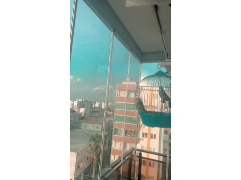 Hazır muhabbet kuşu takımı