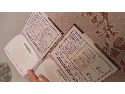 5 nesil soyu belli akbaş daha saf kanı yok idda ediyorum
